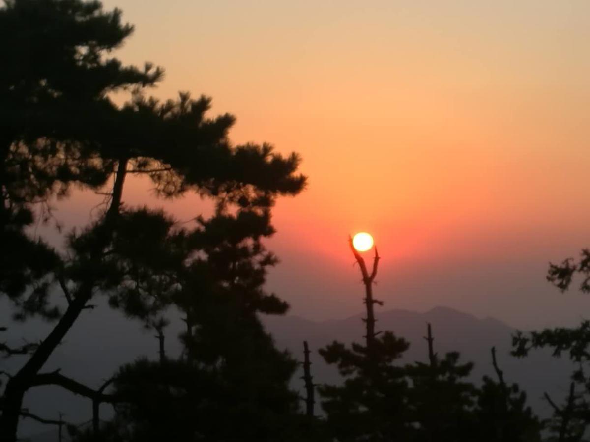 Villa Mogan Mountain Xiaomusensen Deqing Esterno foto
