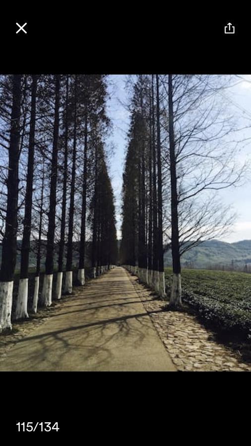 Villa Mogan Mountain Xiaomusensen Deqing Esterno foto
