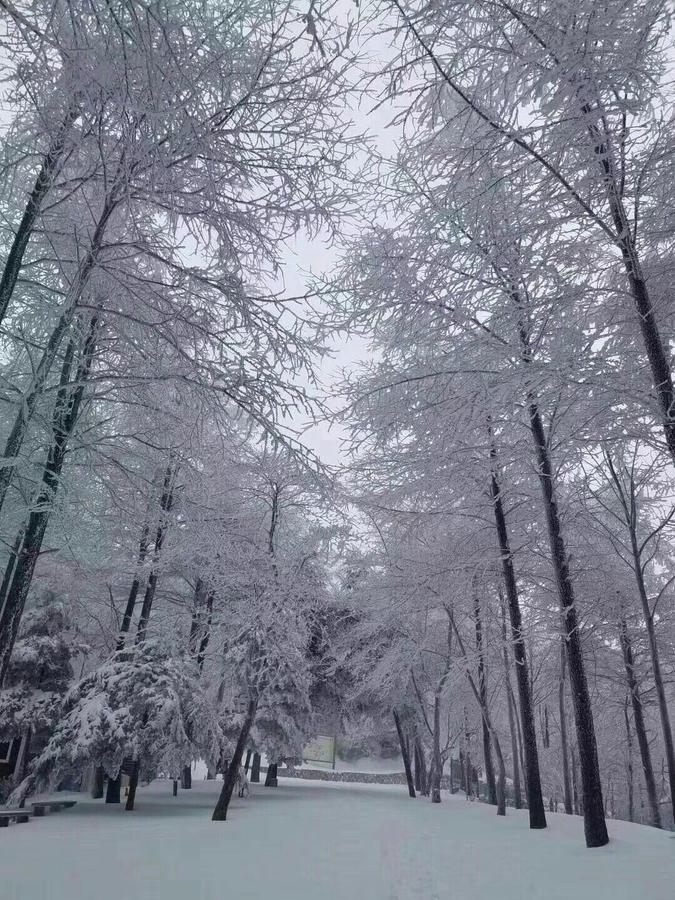 Villa Mogan Mountain Xiaomusensen Deqing Esterno foto