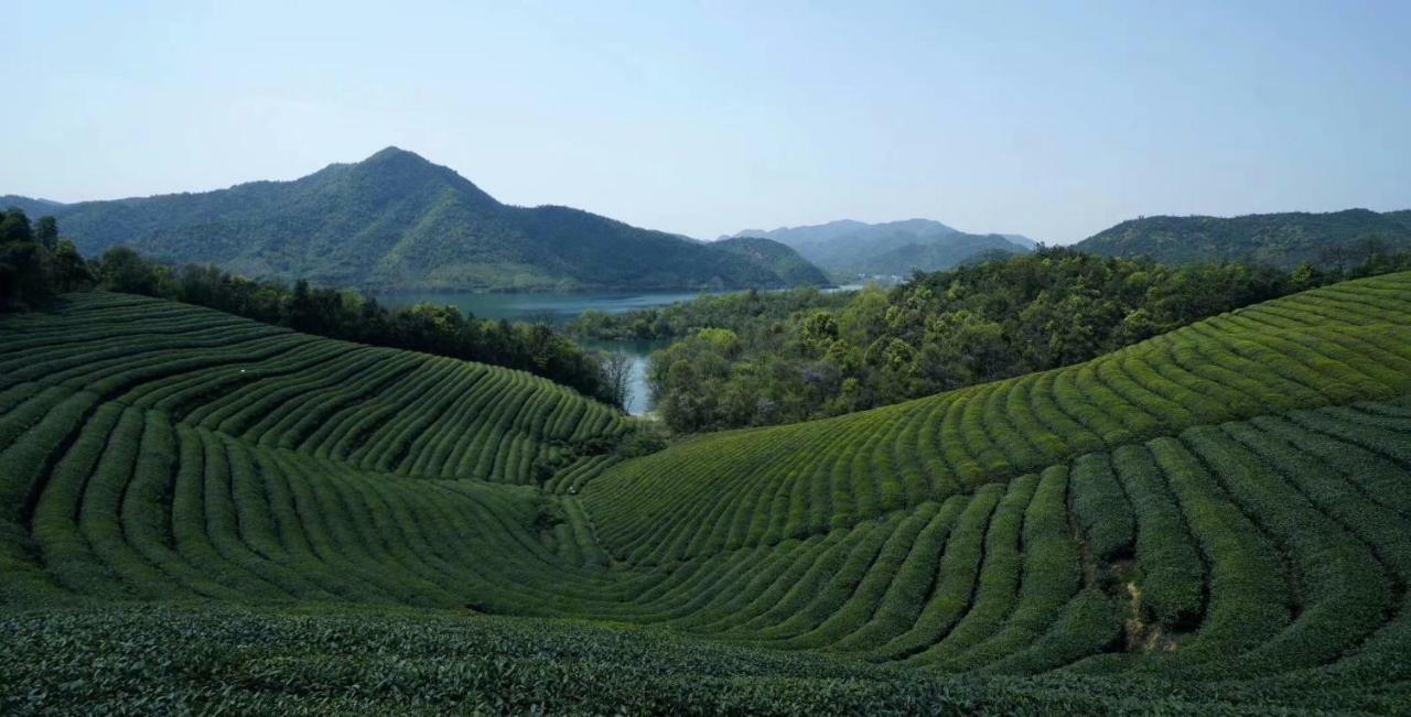 Villa Mogan Mountain Xiaomusensen Deqing Esterno foto